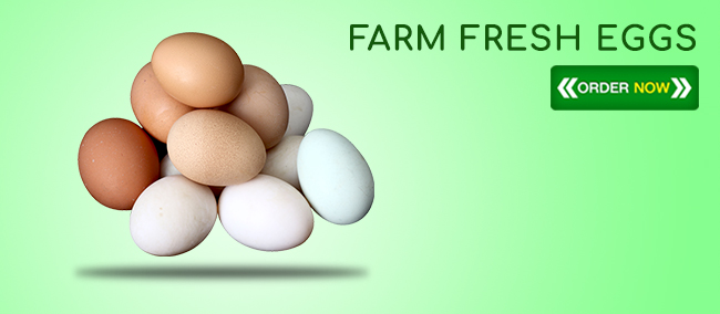 Eggs Delivery 